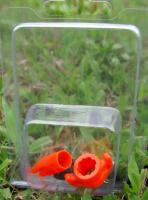 AMS 獵魚箭 替換品(箭尾/滑套/固定墊)