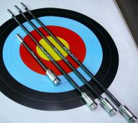  CARBON系列 安定桿組 (複合弓適用)