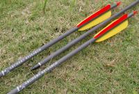  複合弓適用 台製碳纖箭(可換式箭頭) 搭配4英吋羽片